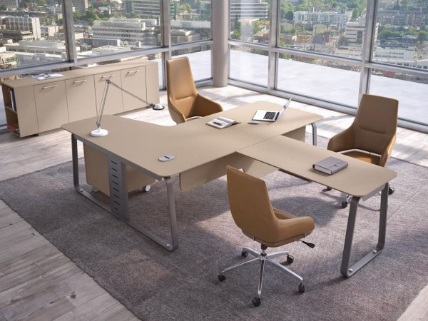 Кабинет руководителя Династия 