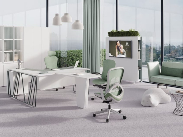 Кабинет руководителя Линеа 