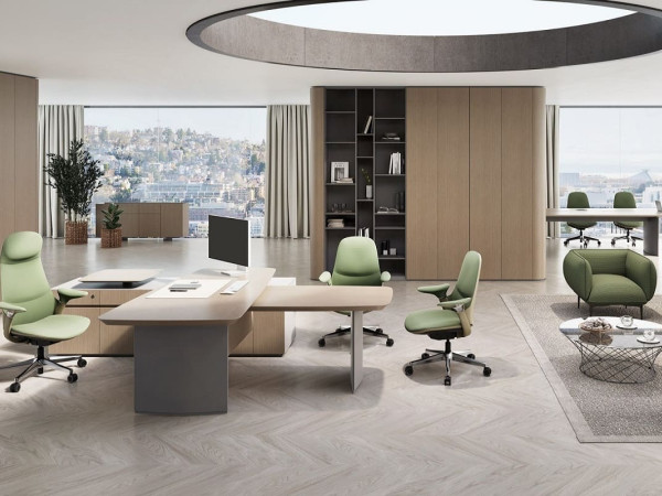 Кабинет руководителя Премьер