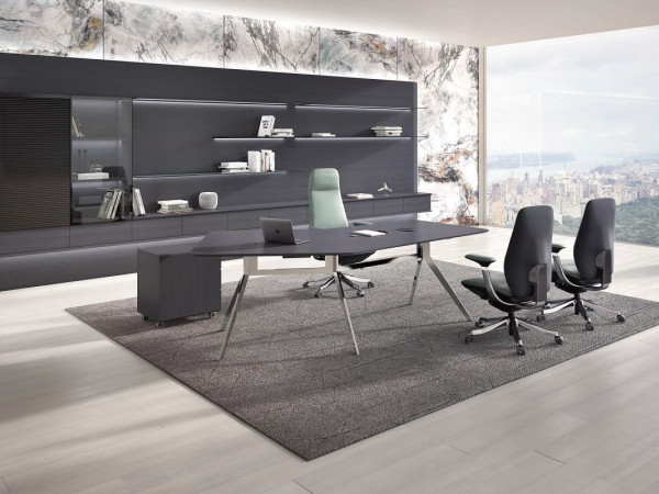 Кабинет руководителя Тесла 