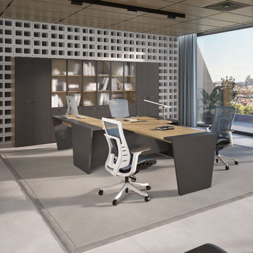 Кабинет руководителя Вектор