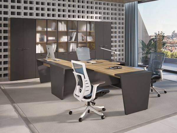 Кабинет руководителя Вектор 